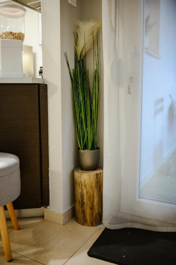 Le Petit Jardin #2 Apartment Волос Екстериор снимка